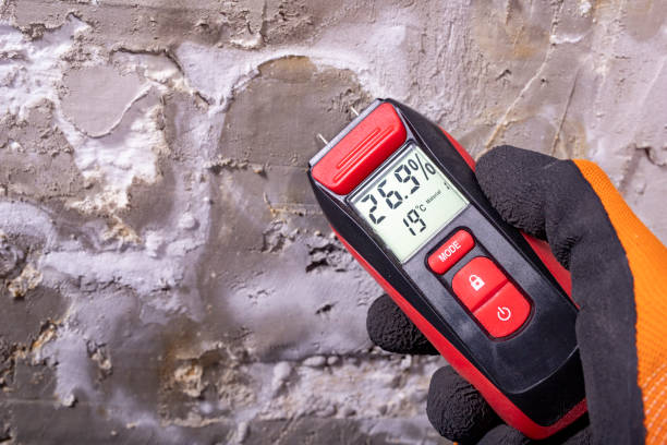 Attic Mold Removal in Dubach, LA
