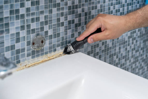  Dubach, LA Mold Removal Pros
